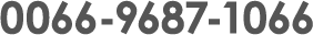 0066-9687-1066